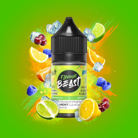 Slammin' STS Iced By Flavour Beast E-liquid 30mL